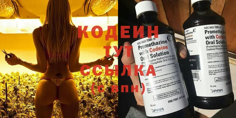 Кодеин Purple Drank  Кирсанов 